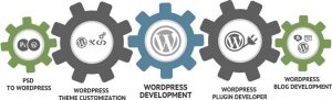 Wordpress Development Company in Ahmedabad India